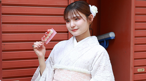 着物散策のイメージ